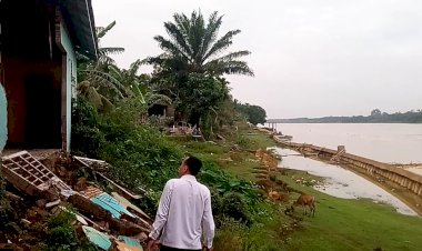 Longsor di Pulau Kayu Aro Muaro Jambi Meluas, Puluhan Rumah Terancam Ambruk