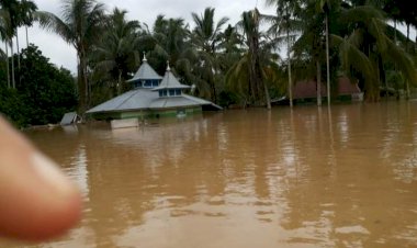 Banjir Landa Desa Teluk Lancang Tebo Jambi, Puluhan Rumah Terendam Air