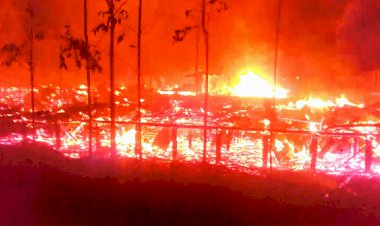 MTSN 3 Tanjab Barat dan MA Al-Khairiyah Teluk Nilau Ludes Terbakar