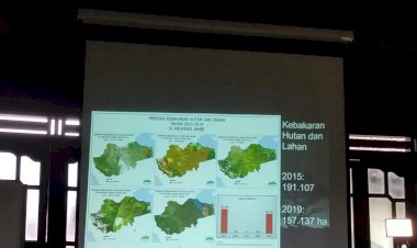 Selain Perambahan Hutan, KKI Warsi Juga Sebut Aktivitas PETI Rugikan Negara Triliunan Rupiah