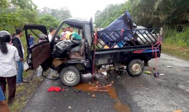 Tabrakan Maut di Bungo, Sopir Carry Tewas Terjepit & Dua Terluka