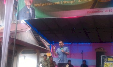 Kawasan Hutan Lindung di Merangin Digunduli, Juwanda: Dimana Pihak TNKS dan Kehutanan?