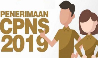 2.873 Peserta Seleksi Administrasi CPNS Bungo 2019 Lulus, Cek Disini Lengkapnya...