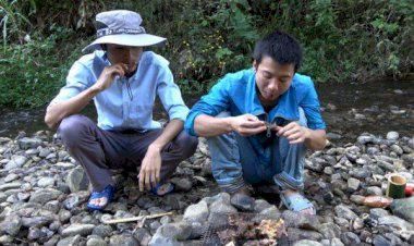 Tikus Makanan Populer di China, Gegara Viral di YouTube