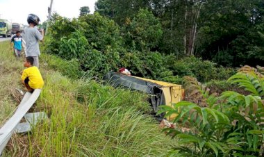 Ngebut, Truk Muatan Tomat Terguling di Tikungan Cantik Muarabungo