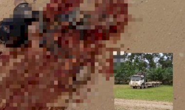 Ngeri! Pedagang Durian Ini Hancur Terlindas Truk Tronton Bermuatan Kayu