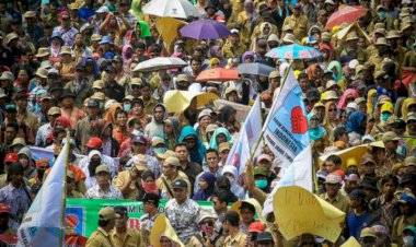 Pemerintah Sepakat Tenaga Honorer Dihapus, Begini Nasibnya?