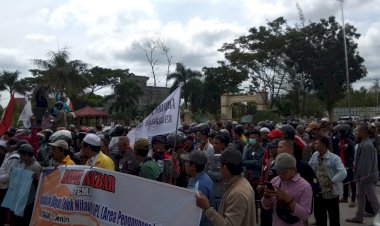 Tuntut Hak Tanahnya, Ratusan Warga Teluk Nilau Tanjab Barat Geruduk Kantor Bupati dan DPRD