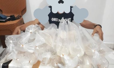 Satreskrim Polres Sarolangun Amankan Ribuan Benih Baby Lobster