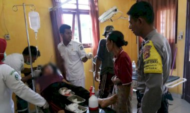 Sedang Manen Sawit, IRT di Tanjab Barat Ini Diserang Beruang