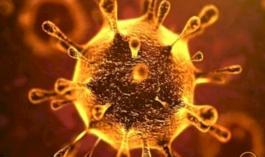 Pria Asal Jepang Ini Terjangkit Virus Corona Usai Lakukan Kunjungan dari Indonesia