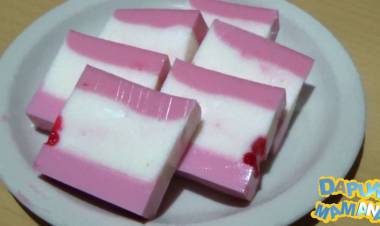 Resep Masakan Praktis Puding Lapis Busa
