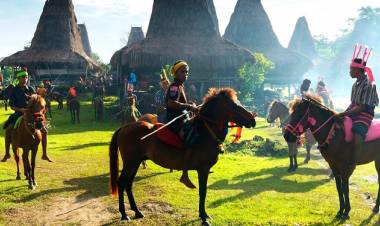 Parade 1.001 Kuda Sandalwood Segera Hadir Kembali