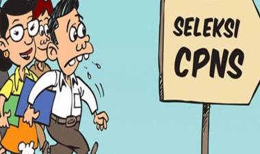 Usulkan 4000, BKN Hanya Setujui 316 Kuota Penerimaan CPNS Pemprov Jambi