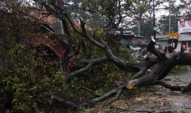 Puting beliung melanda Medan, pohon bertumbangan timpa mobil dan rumah