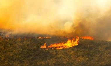17 Titik Panas Terpantau di Jambi 