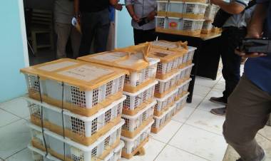 BKSDA Jambi Amankan Seribuan Burung Dilindungi yang akan Dibawa ke Lampung