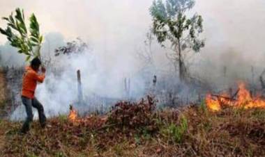 Sepanjang Juli Ada 85 Titik Api di Jambi, Terbanyak di Tebo