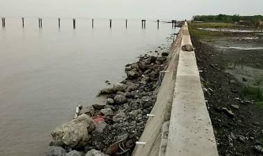 Sampai Beroperasi Pelabuhan Ujung Jabung Masih Butuh Rp150 Miliar