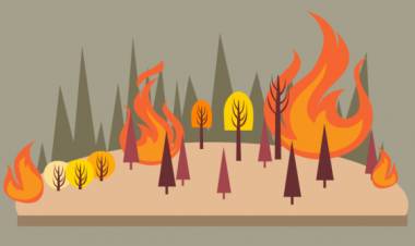 Meski Hujan, Sembilan Titik Api Terpantau di Jambi