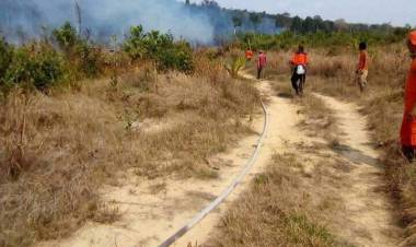Hingga Pertengahan September Titik Api di Batanghari Meningkat