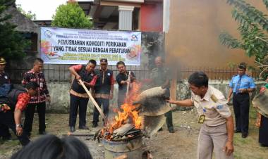 129 Lembar Kulit Biawak di Jambi Dimusnahkan, 3 Disimpan BKIPM