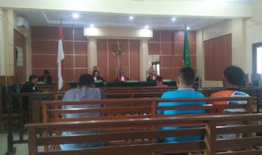 Penyelundup 92 Ribu Lebih Baby Lobster di Jambi Dihukum 2 Tahun Penjara 