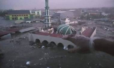 Panjat Pohon Setinggi 6 Meter, Warga Palu Ini Masih Terkena Terjangan Tsunami