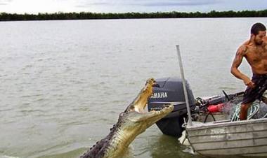 Dramatis! Remaja Pekanbaru Ini Behasil Selamat Setelah Melawan Terkaman Buaya