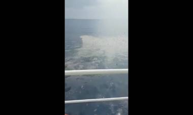 Lagi, Potongan Tubuh Korban Ditemukan di Lokasi Jatuhnya Lion Air JT 610