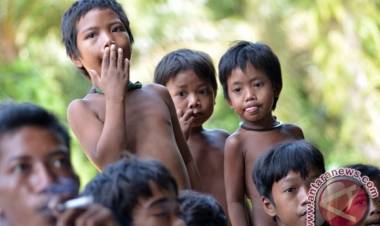 Akademisi Sebut Merumahkan Orang Rimba Jambi Terlalu Memaksa
