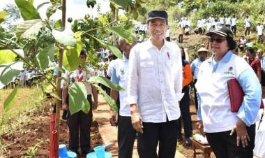 CAPPA: Festival PeSoNa 2018 Jambi Harus Mengaplikasikan Nawacita Jokowi