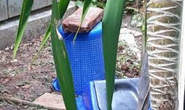 Temuan Jasad Bayi Gegerkan Sekolah Islam Jakbar 