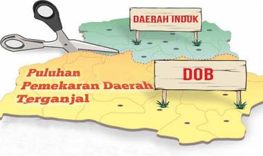 Mampukah Teknologi Informasi Meredam Keinginan Pemekaran Daerah?