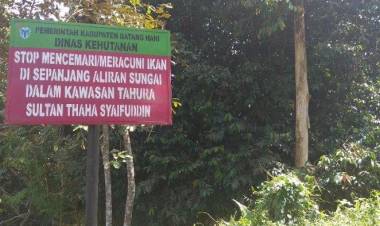 50 Hektar Kawasan Hutan Batanghari Direhabilitasi Pada 2019