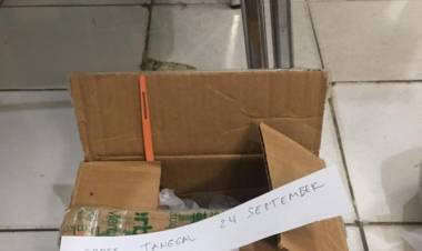 Narkotika Jenis Baru! BNN Amankan Kiriman Ganja Cair dari Jerman