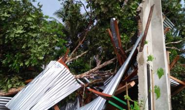 BREAKING NEWS!! Di Bungo, Rumah Bantuan Pemerintah Hancur Ditimpa Pohon Bedaro