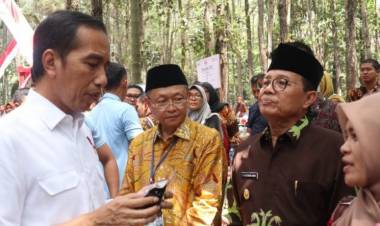 Berkali-Kali WA ke Menteri Siti Nurbaya, Jokowi Minta Aparat Serius Tangani Pembalakan Liar