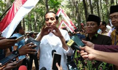 Dari Kayu Manis Hingga Petai Jambi Jadi Perhatian Presiden Jokowi 
