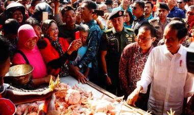 Pedagang Pasar Ngemplak Lapor Jokowi Harga Daging Ayam