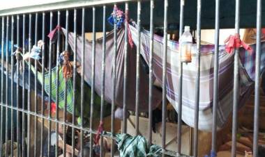 Nah Loh, Ada Rutan Mirip Kelelawar