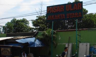 Menjelajah Tempat Bersejarah di Ujung Utara Kota Jakarta