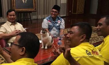 Undangan Pertemuan Prabowo dan SBY Menyebar BPN Prabowo-Sandi Malah Kaget