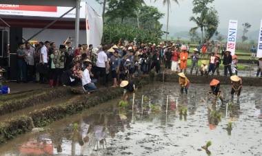 Presiden Ajak Ngobrol Soal KUR dan Pinjaman Bang ke Petani Garut di Pinggir Sawah