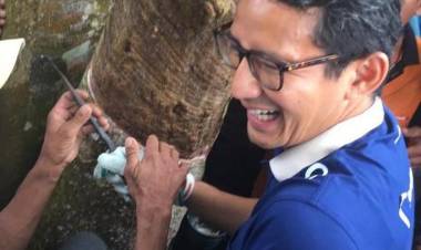 Wahai Petani Karet, Jika Menang Sandi Janjikan Harga Karet Lebih Baik