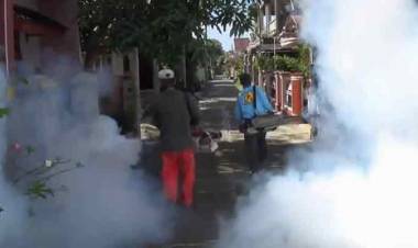 Dinkes: Dua Warga Trenggalek Meninggal Akibat DBD