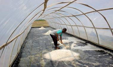 Harga Garam di Probolinggo Masih Jeblok