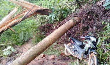 Empat Desa di Sarolangun Terisolir, Akses Jalan Marga Bukit Bulan Tertutup Longsor