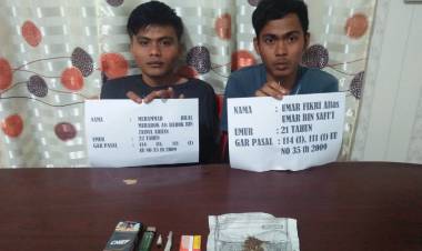 Dua Pemuda Merangin Diringkus Saat Asyik Hisap Ganja, Ini Pengakuan Mengejut Kedua Pelaku...