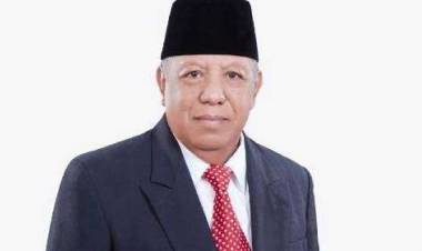 Diusulkan jadi Wakil Gubernur Dampingi Fachrori Umar, Begini Reaksi Madel 